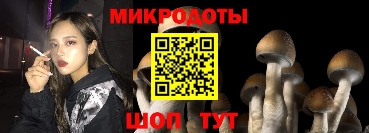 Кизляр  Галлюциногенные грибы GOLDEN TEACHER  Галлюциногенные грибы мухоморы  сколько стоит  Вход с VPN 
